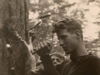 1954 Hellendoorn A. slacht konijn - AvdB