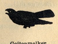 1934 Verk. v. Jongens 010 - coll. BKB