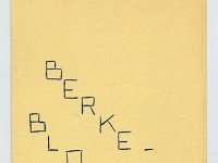 eisen Berkenblokinsigne 01 - coll. BKB
