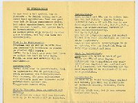 eisen Berkenblokinsigne 02 - coll. BKB