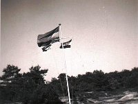 1950 NPK (3)