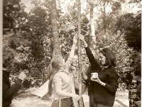 05 Pinksterkamp 1964 Ommen.Hier moesten we de paal insmeren met groene zeep