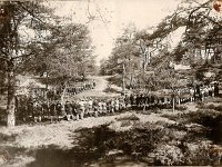 1930 Pinksterkamp  Odoorn (Hopman Knuttelkamp)