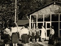 Witterzomer 02 - coll. Wil Hazewindus, Enter